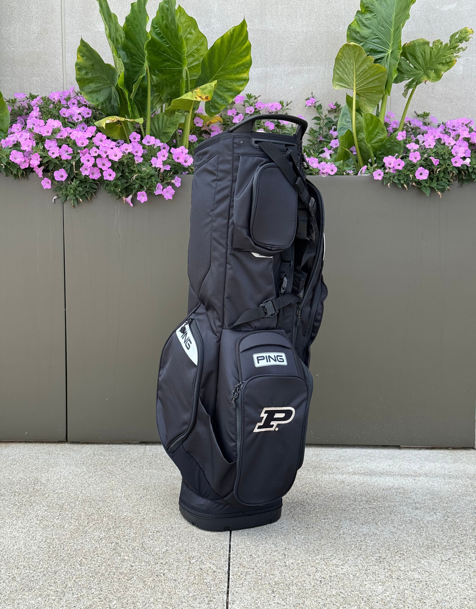 PING PING 231 STAND BAGS