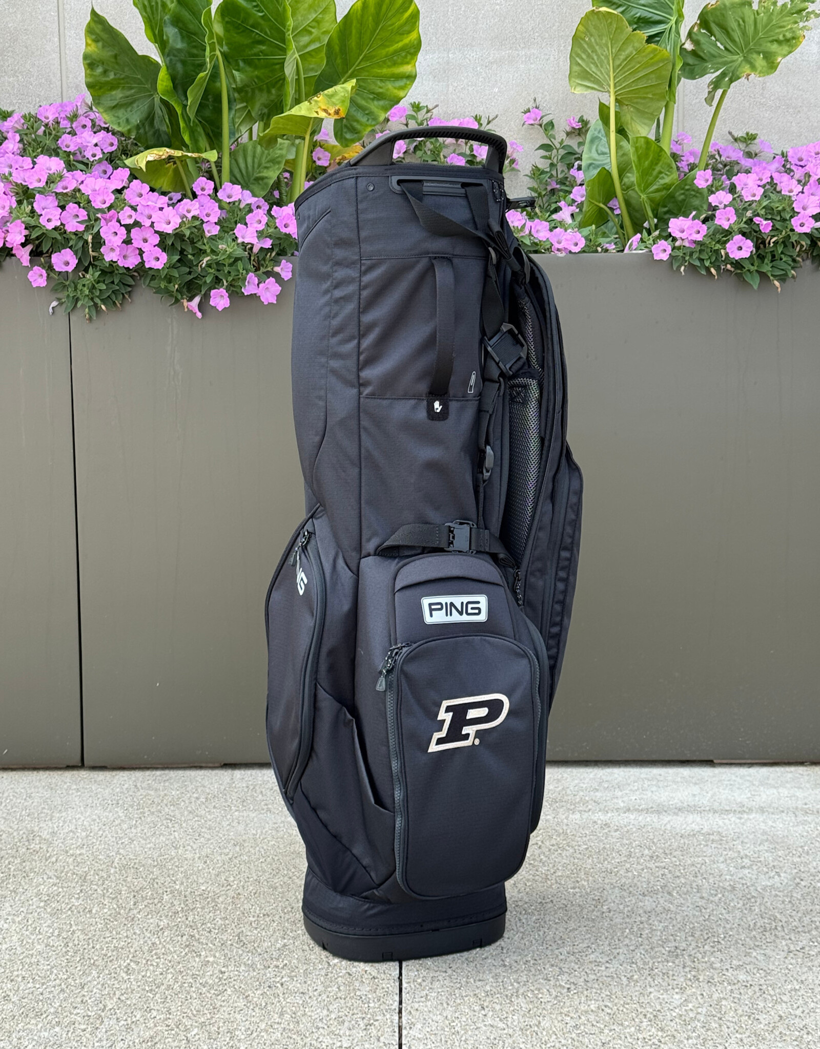PING PING 231 STAND BAGS