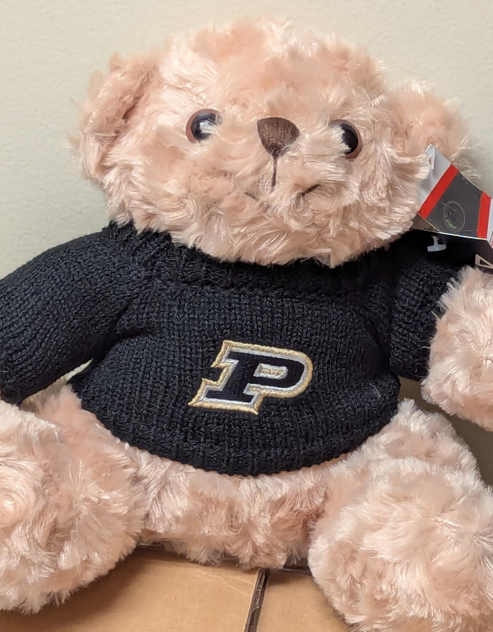 AHEAD TEDDY BEAR