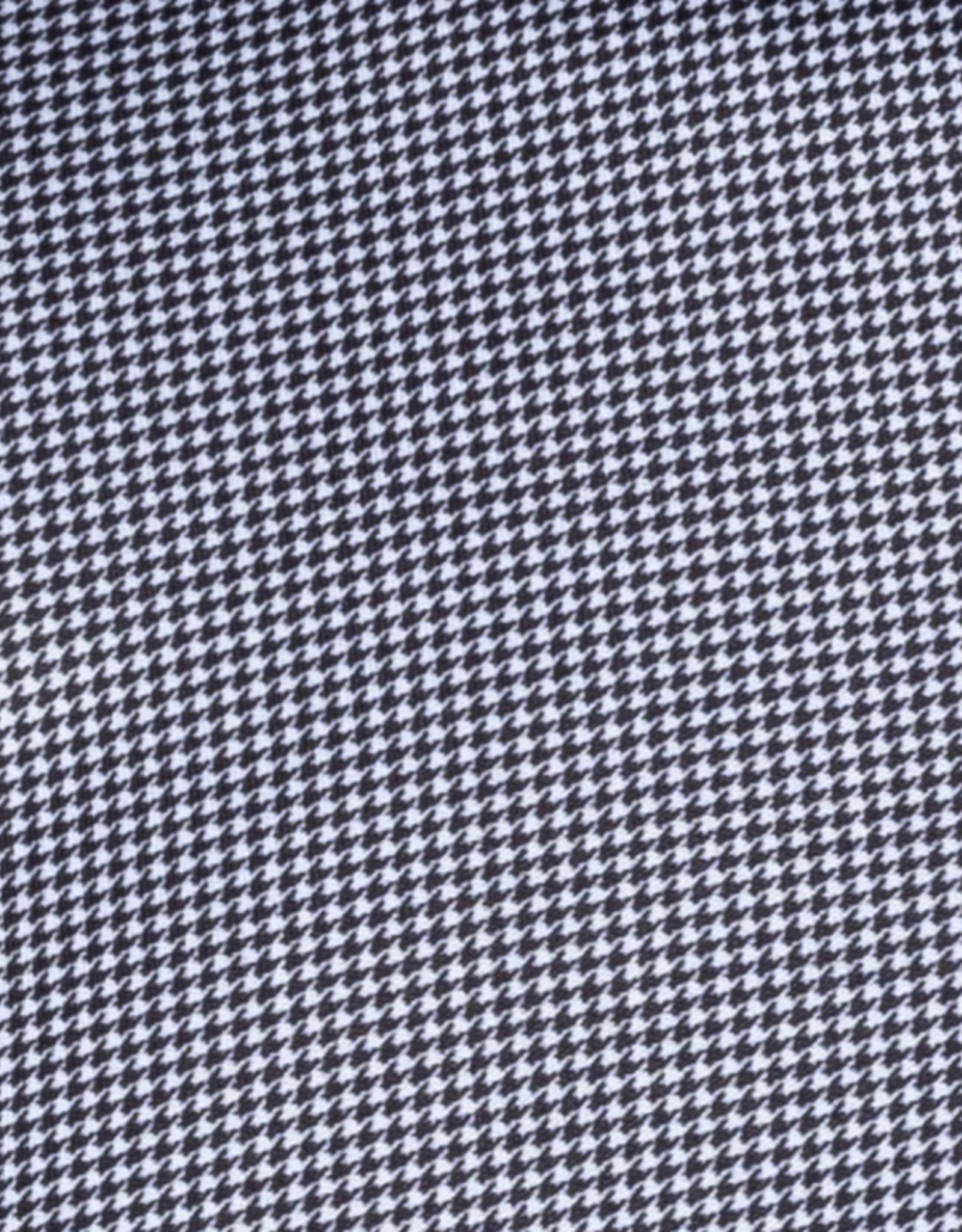 COLLARS & Co. C&C SEMI-SPREAD POLO