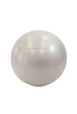MERRITHEW Ball - Stability Ball™ Plus 65cm (silver) with pump