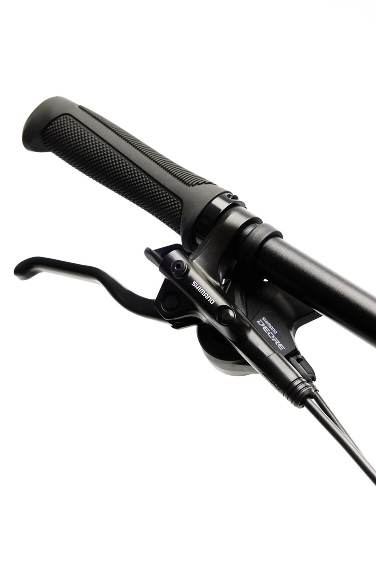 Moose Bicycle Moose Fat Bike 2