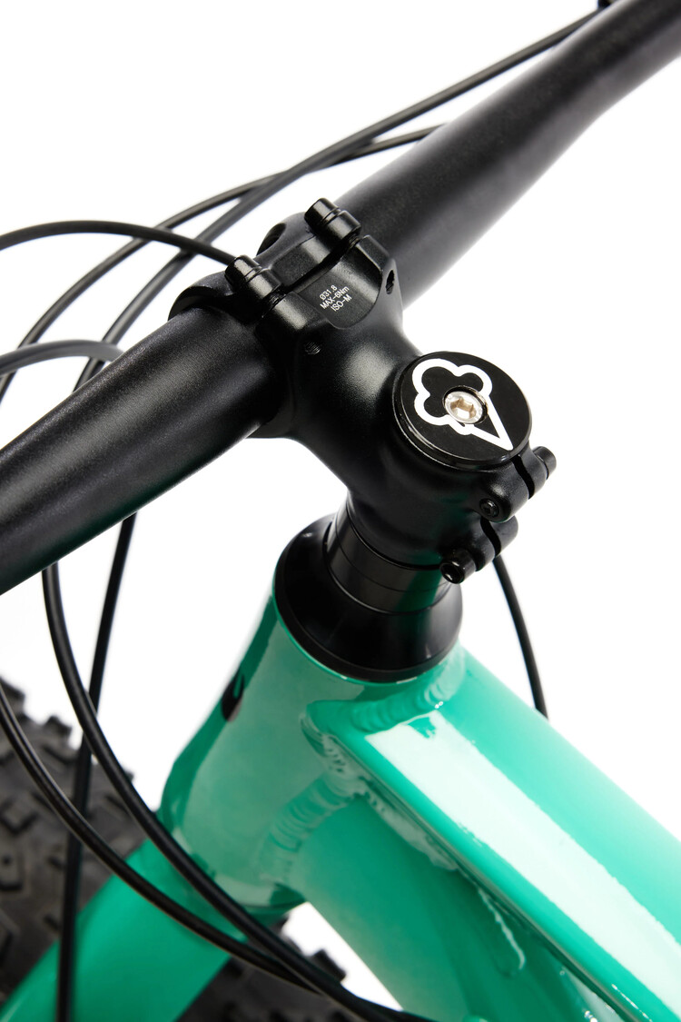 Moose Bicycle Moose Fat Bike 2