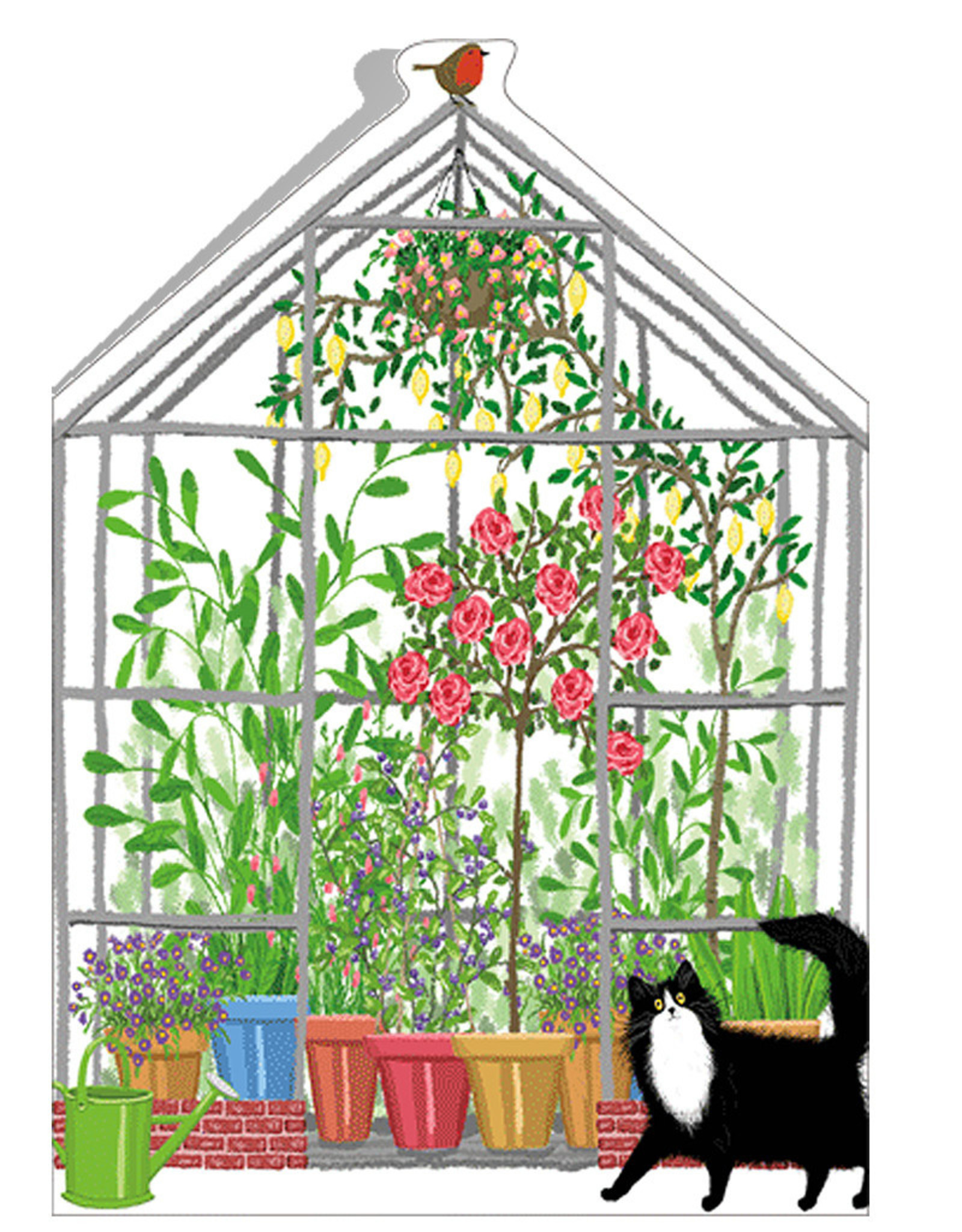 Caspari Birthday Card Cat And Greenhouse