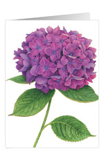 Caspari Sympathy Card Purple Hydrangea