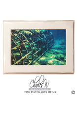 Charles W Frameable Photo Art Cards Bio Reef Lauderdale By the Sea