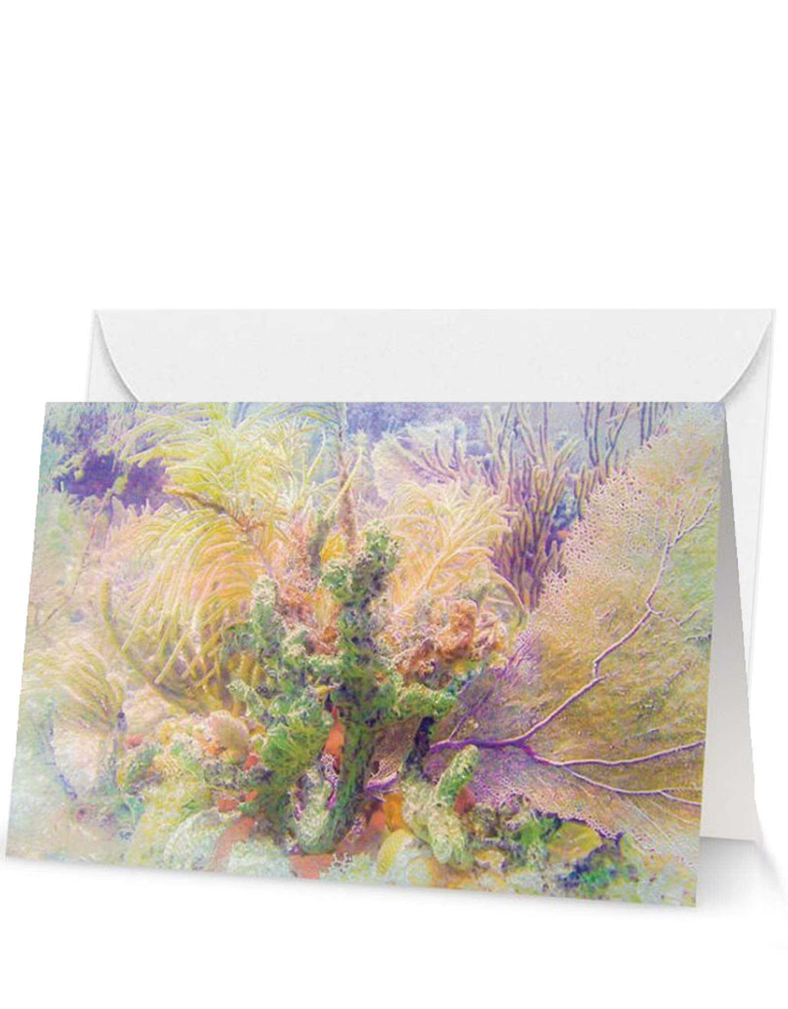 By The Seas-N Greetings Blank Note Card Florida Reef Spring Bouquet