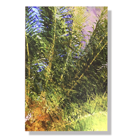 Charles W Gallery Wrapped Canvas Wall Art Print - Palm Abstract Right