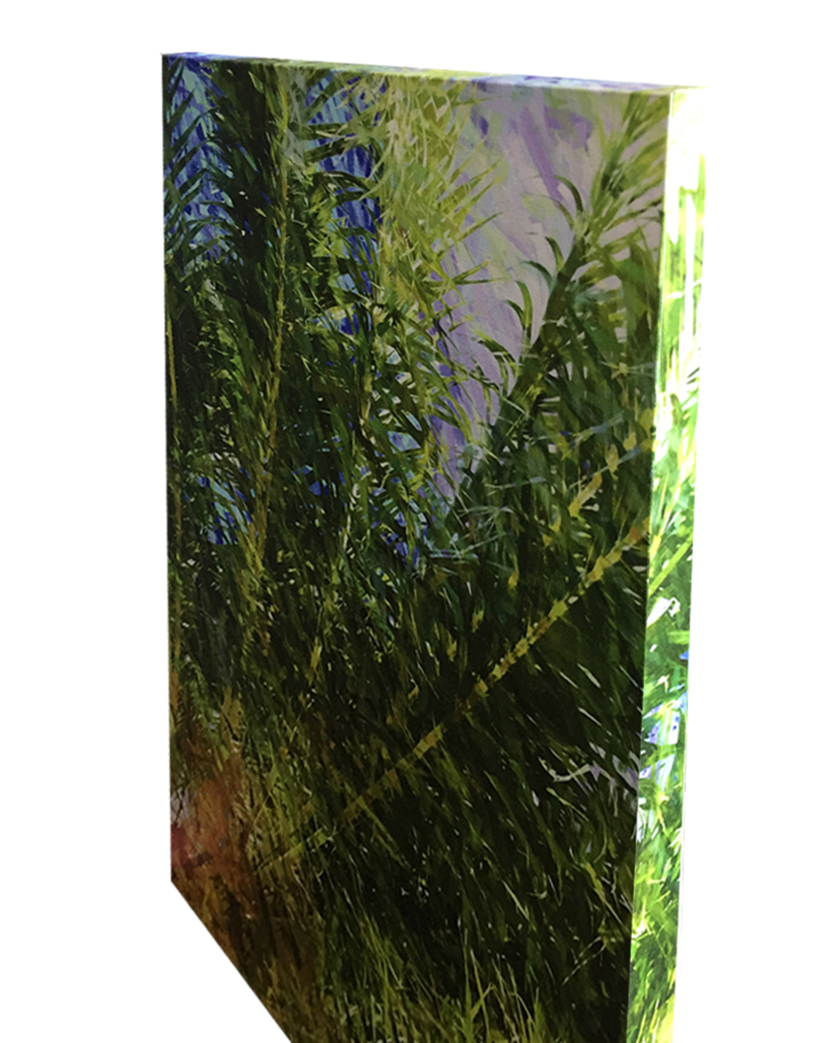 Charles W Gallery Wrapped Canvas Wall Art Print - Palm Abstract Right