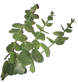 Darice Green Eucalyptus Pick 12 inch Christmas Picks Florals