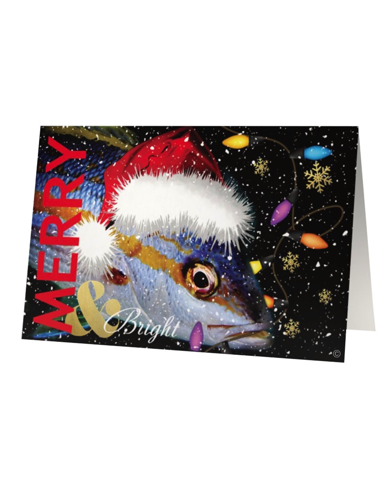 By The Seas-N Greetings Christmas Card Merry and Bright Santa Fish