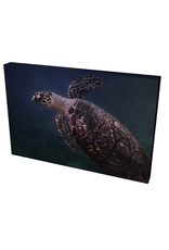 Charles W Gallery Wrapped Canvas Wall Art Print 003 Sea Turtle