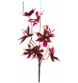 Botanica Stem 109 42 Inch W Pink And White Flowers