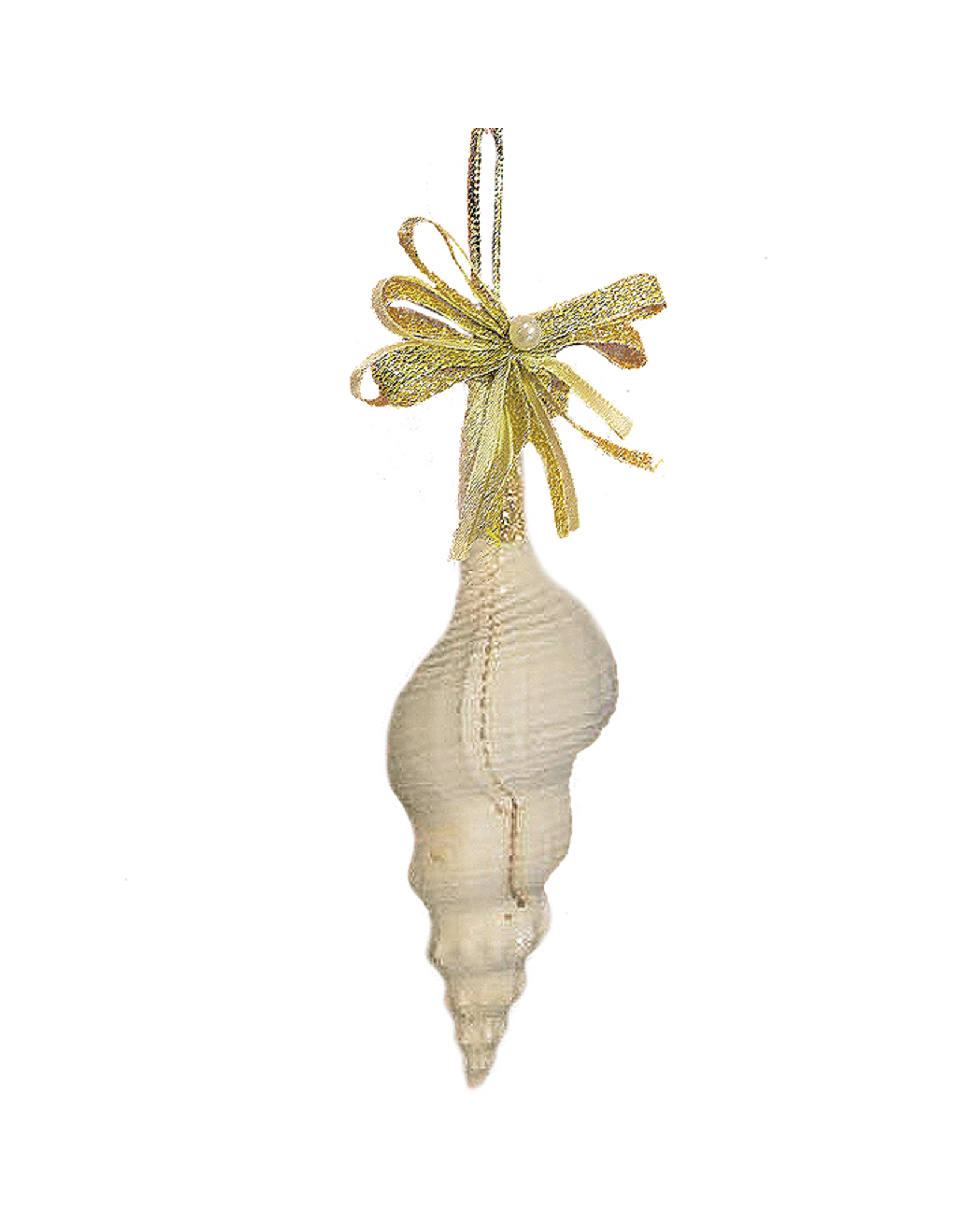 Treasures From The Sea Spindle Sea Shell Ornament TFTS-41