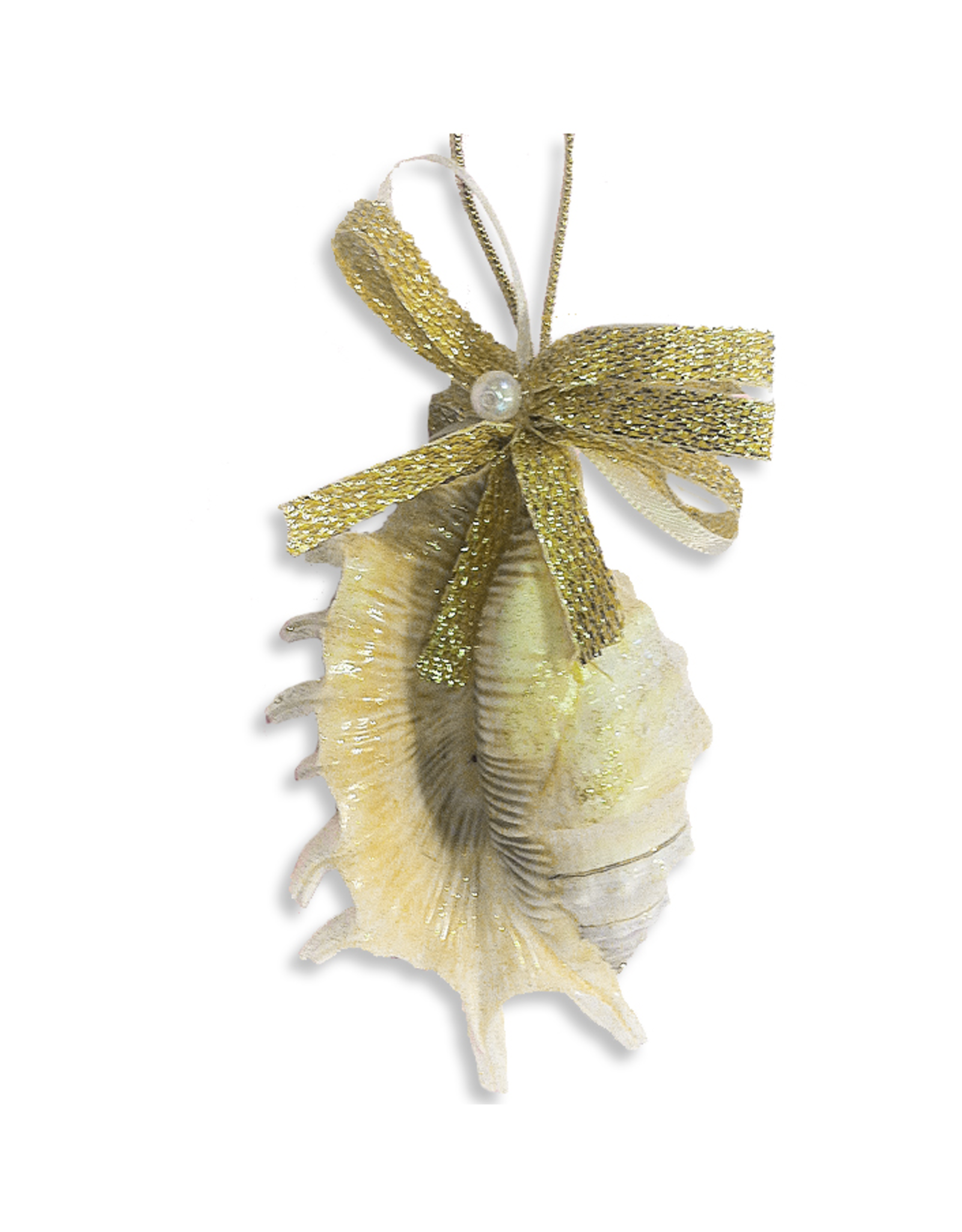 Treasures From The Sea Millepedia Sea Shell Ornament TFTS-33