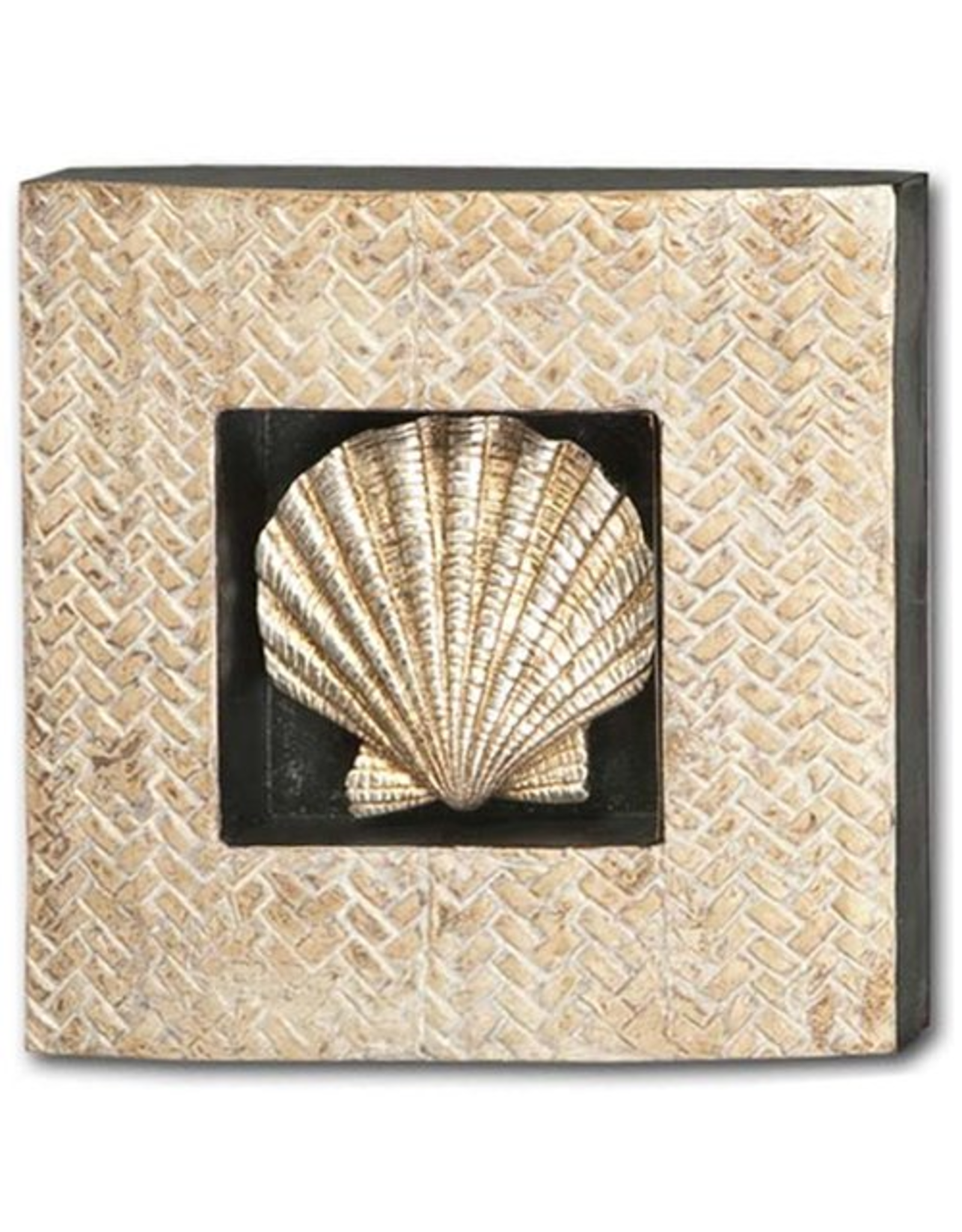 Mercana Clam Shell Recessed In Shodowbox Frame 10x10x2 Wall Art