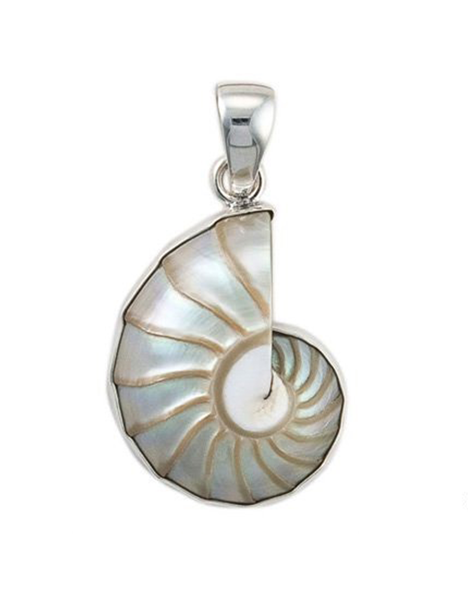 Charles Albert Jewelry Fine Sterling Silver Pendant w Nautilus Shell