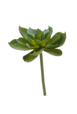 Darice DISP Faux Succulent Green Echeveria Rosette 4.5 inch