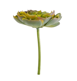 Darice Faux Succulent Pick Small Light Green Aeonium Rosette 4.5 inch