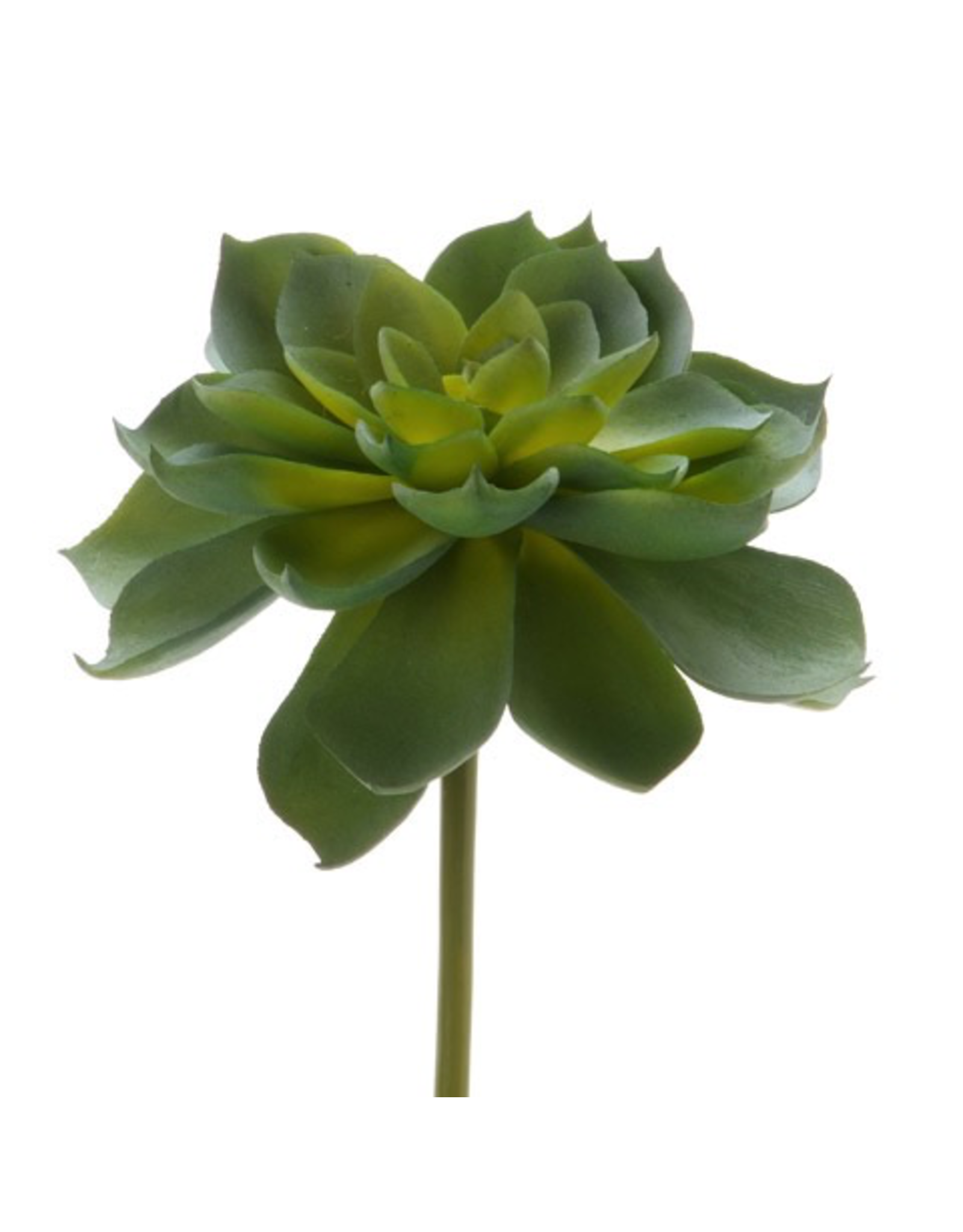 Darice Faux Succulent Pick Variegated Green Open Rosette 4.75 inch