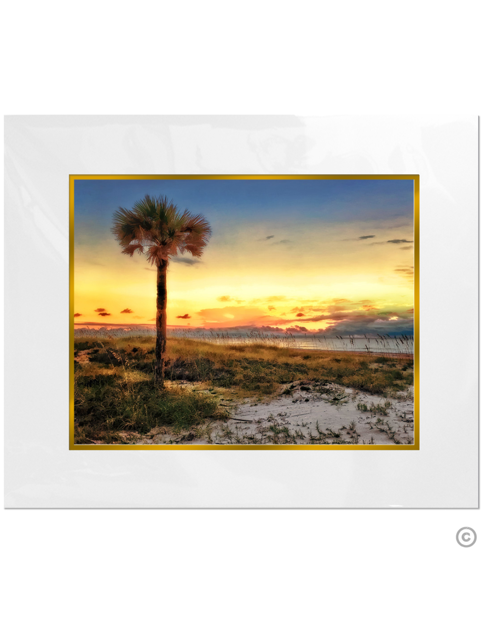 Maureen Terrien Photography Art Print Amelia Island Sunset 8x10 - 11x14 Matted