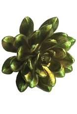 Darice Faux Succulents Echeveria Metallic Green 4.5 inch