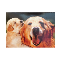 Avanti Fathers Day Card Dog and Puppy Lucky Pup