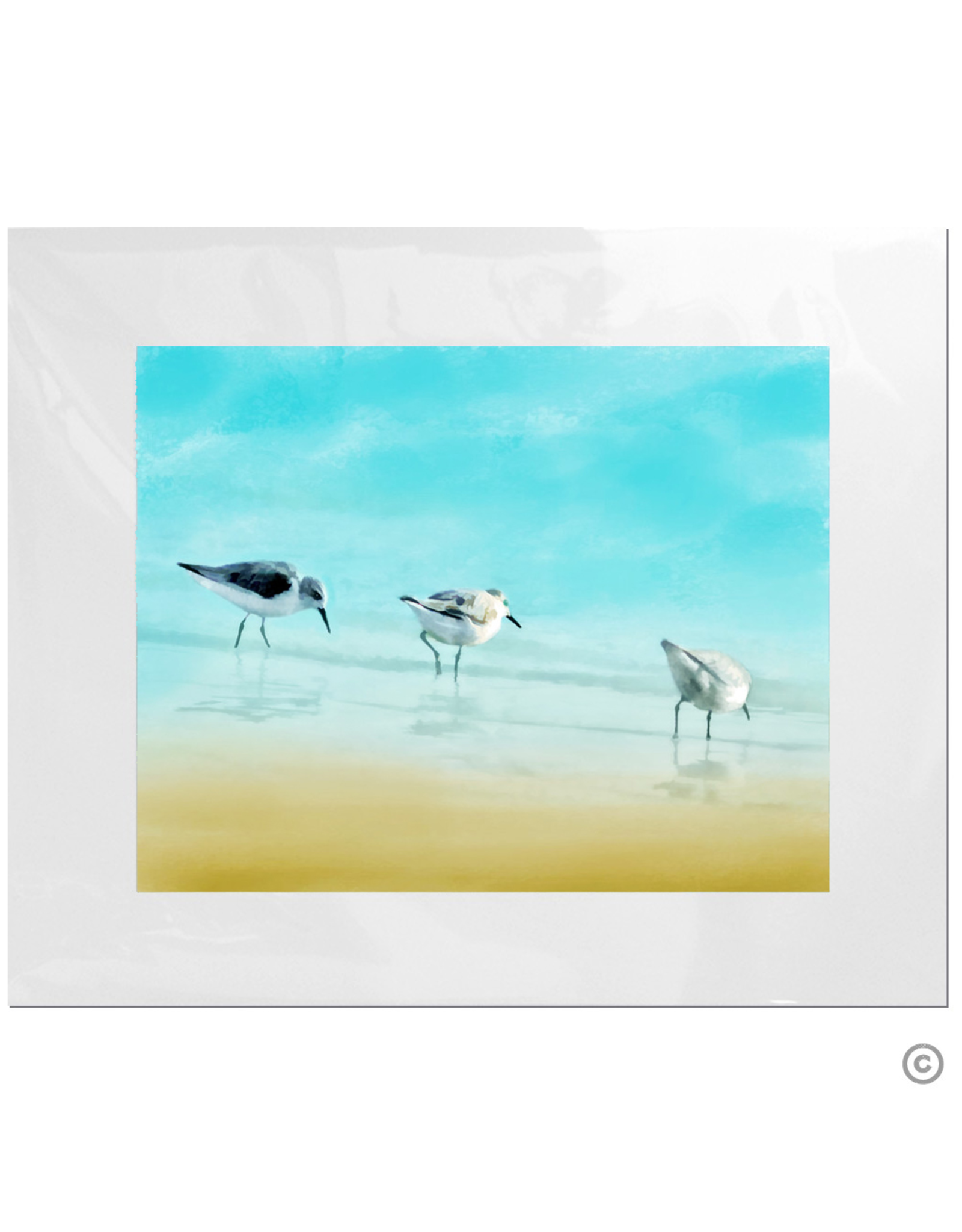 Maureen Terrien Photography Art Print 3 Sandpipers II 11x14 - 8x10 Matted