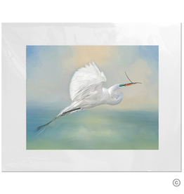 Maureen Terrien Photography Art Print Egret w Twig 11x14 - 8x10 Matted