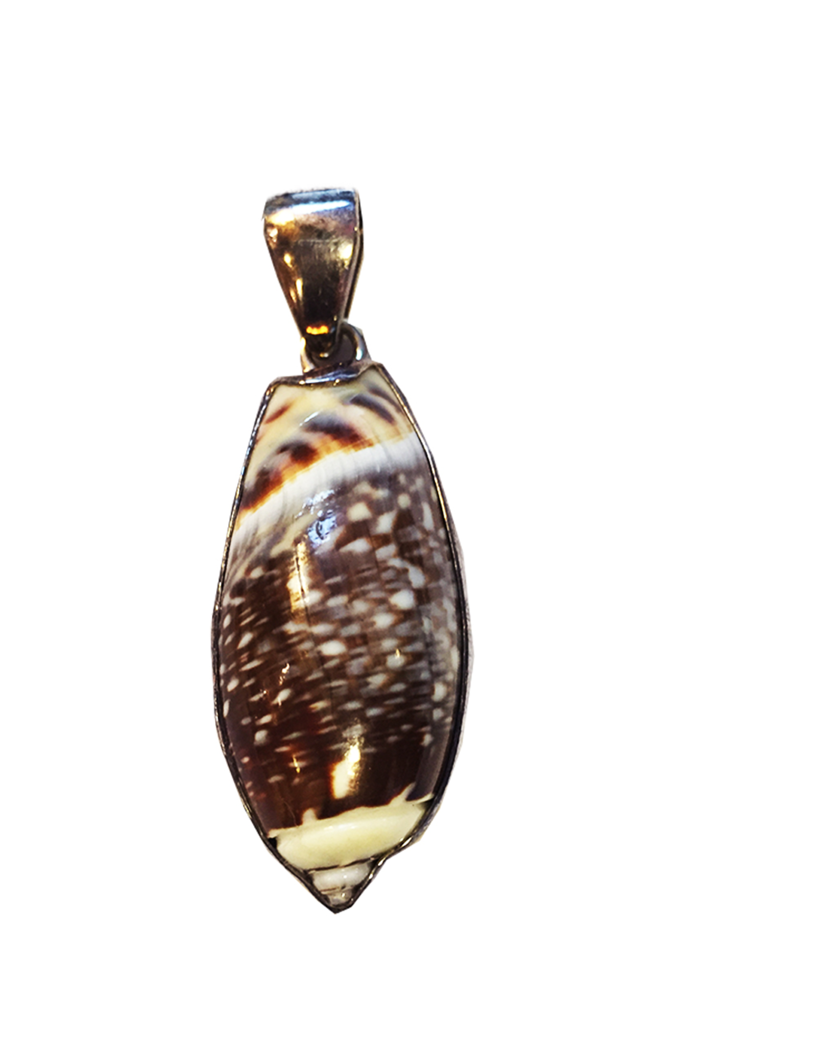 Charles Albert Jewelry Fine Sterling Silver Pendant w Shell Digs