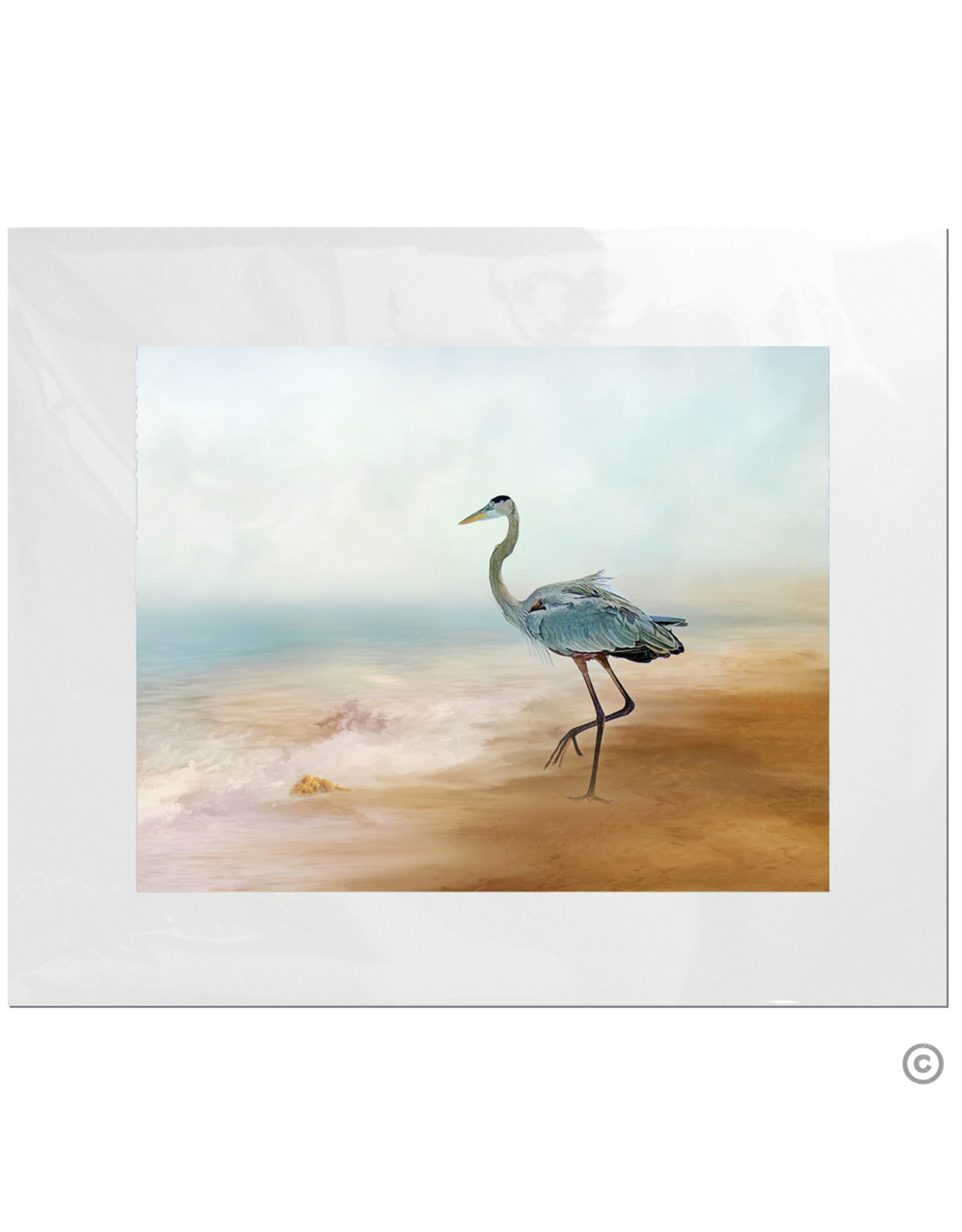 Maureen Terrien Photography Art Print Heron on Beach 11x14 - 8x10 Matted