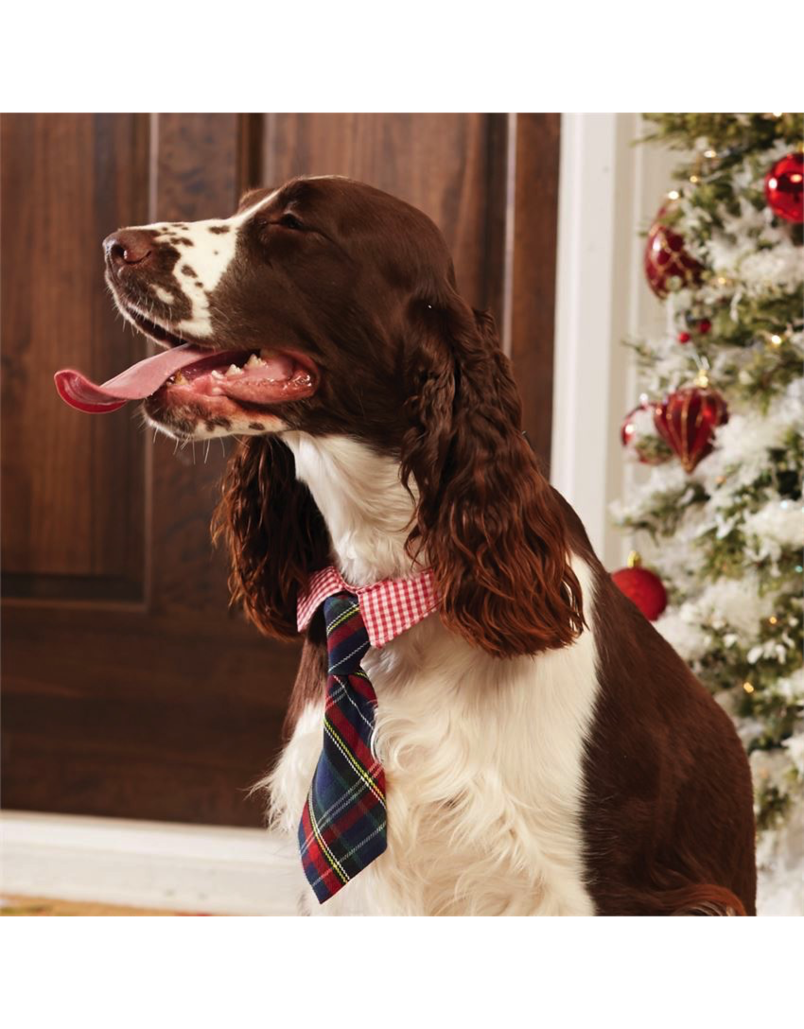 Mud Pie Plaid Tie Dog Collars-Necktie-Sm-Md Adjustable Snap Buckle