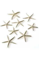 Twos Company White Finger Starfish Set of 10 in Gift Bag 3553 Twos Company