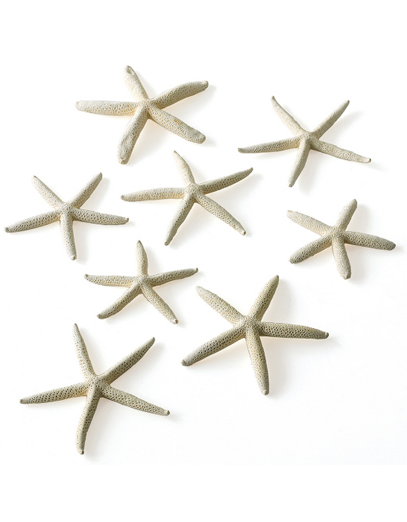 Twos Company White Finger Starfish Set of 10 in Gift Bag 3553 Twos Company