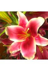 Winward Flowers Floral 97323.OH Orhid red-Pink Lily Casablanca Open 43 inch