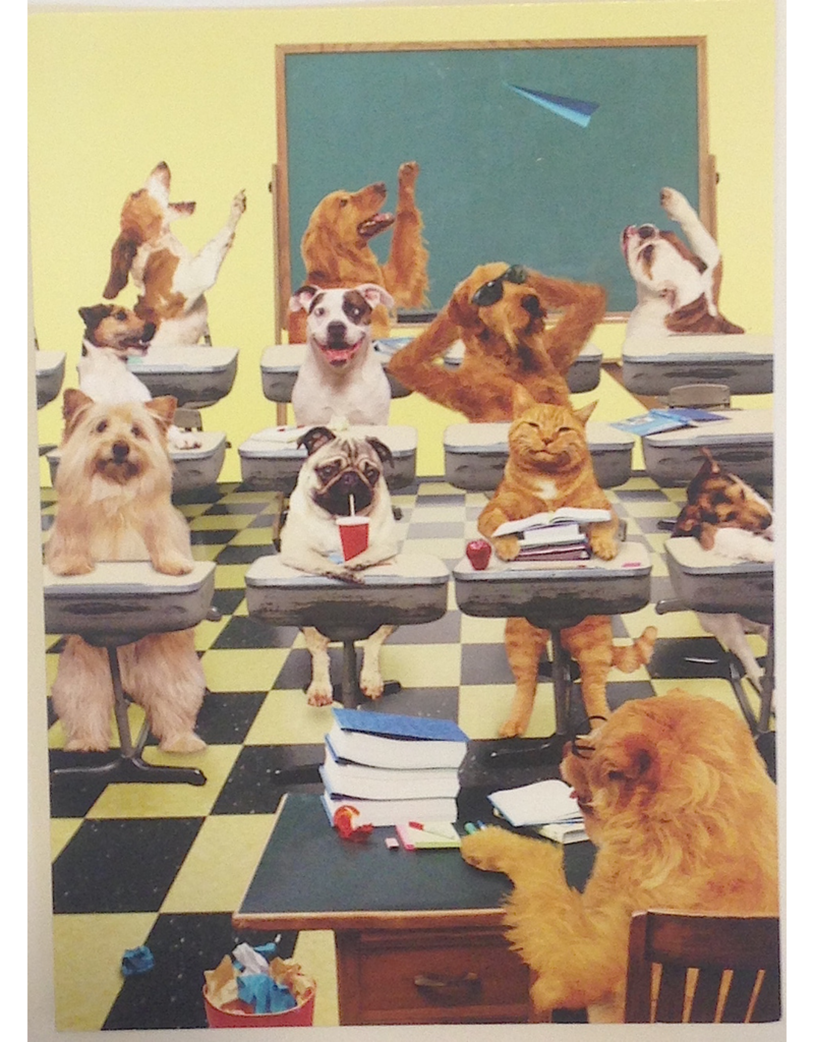 Graduation Card GR4037 Good Kitty by Portal