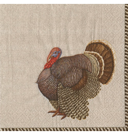 Caspari Fall Thanksgiving Paper Cocktail Napkins 20pk Thomas Turkey