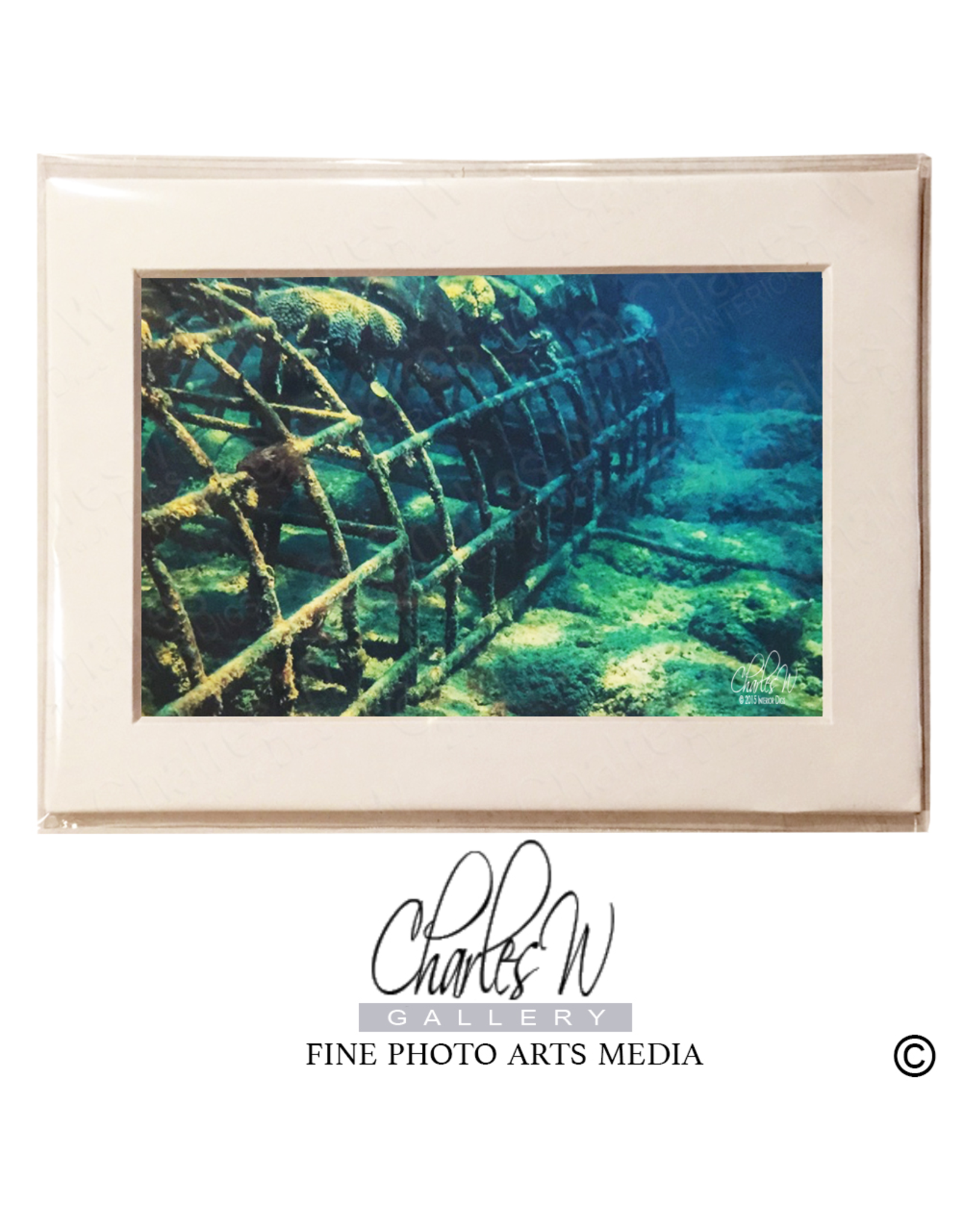 Charles W Frameable Photo Art Cards Bio Reef Lauderdale By the Sea