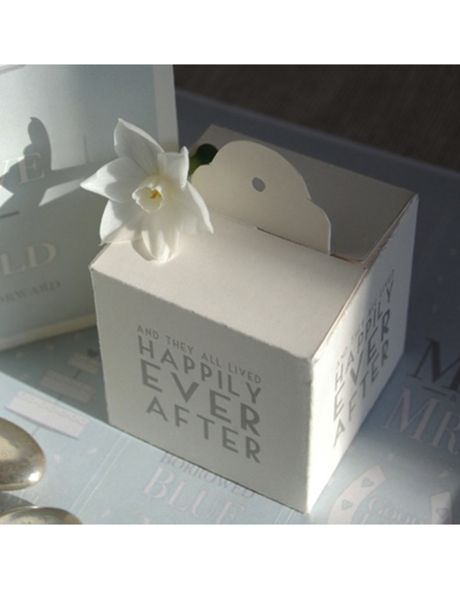 East of India Wedding Favor Boxes package of 8 by East of India