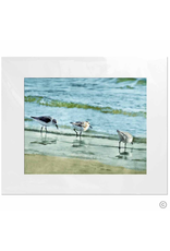 Maureen Terrien Photography Art Print 3 Sandpipers I 11x14 - 8x10 Matted