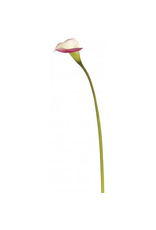 Winward Flowers Floral 95175.MVWH Calla Lilly Mauve/White