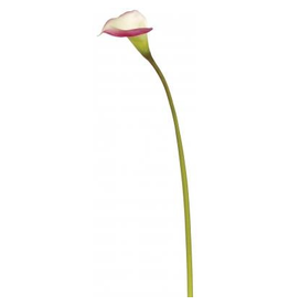 Winward Flowers Floral 95175.MVWH Calla Lilly Mauve/White