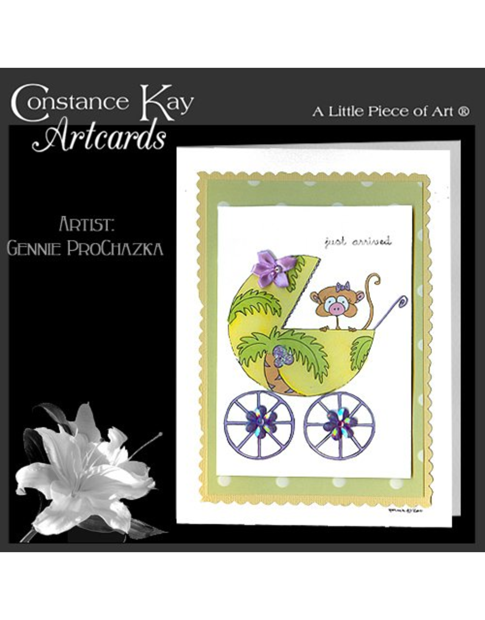 Constance Kay New Baby Just Arrived Monkey In Carriage
