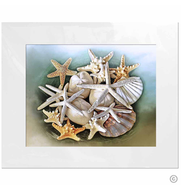 Maureen Terrien Photography Art Print Memories of the beach 11x14 - 8x10 Matted