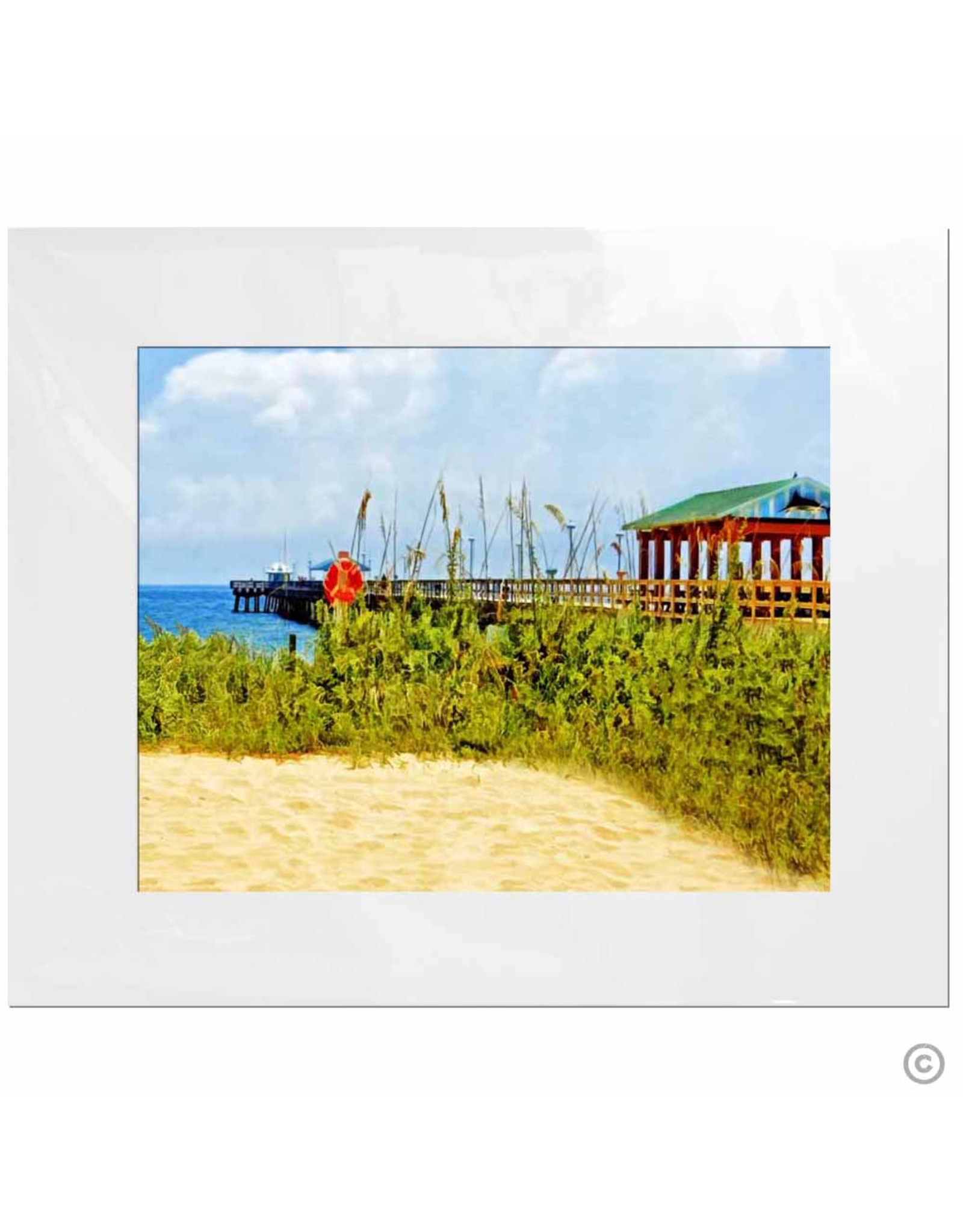 Maureen Terrien Photography Art Print Pier and Grass 11x14 - 8x10 Matted