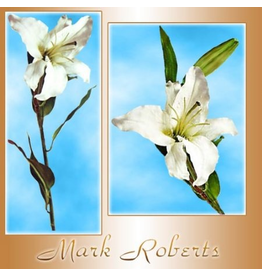 Mark Roberts Home Decor Flowers Floral White Casablanca Lily