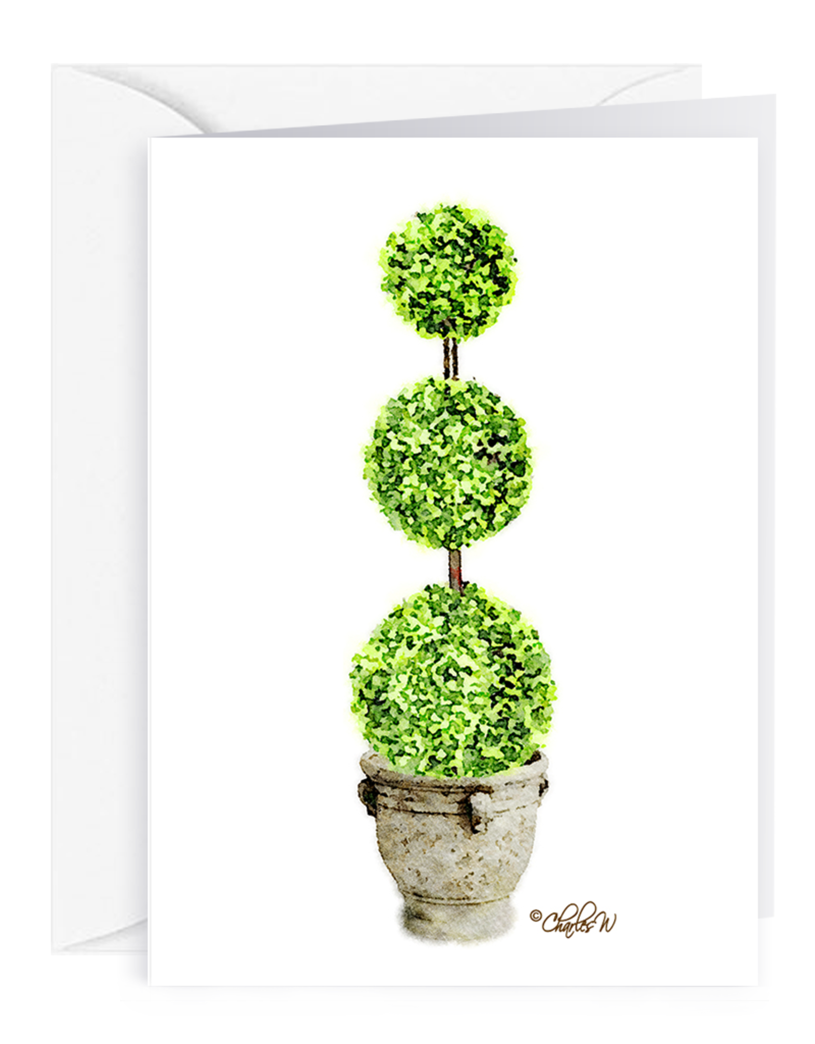 By The Seas-N Greetings Blank Note Card - Cash - Gift Card Holder - Topiary