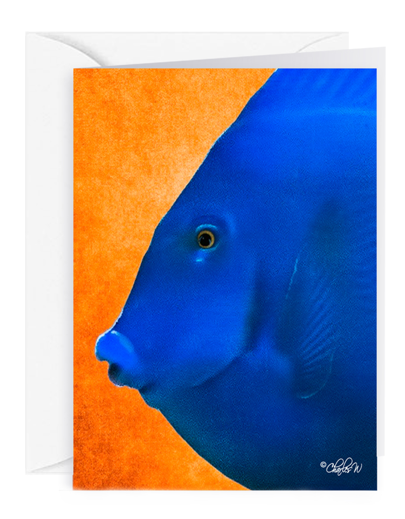 By The Seas-N Greetings Blank Note Card - Cash - Gift Card Holder - Blue Fish III