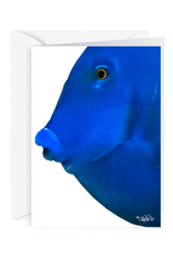 By The Seas-N Greetings Blank Note Card - Cash - Gift Card Holder - Blue Fish I