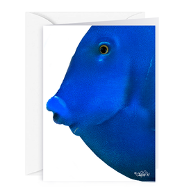 By The Seas-N Greetings Blank Note Card - Cash - Gift Card Holder - Blue Fish I